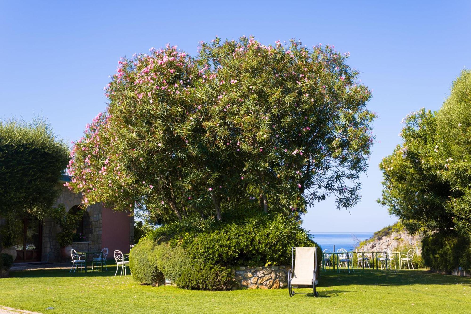 Hotel Capo D'Uomo Orbetello Exterior foto